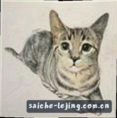 孙丽